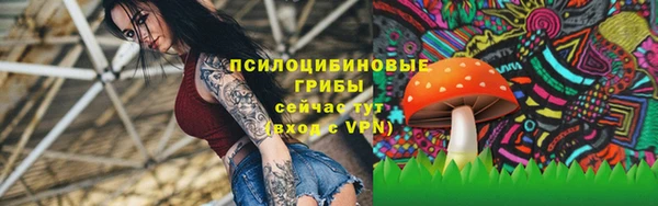 таблы Новокубанск